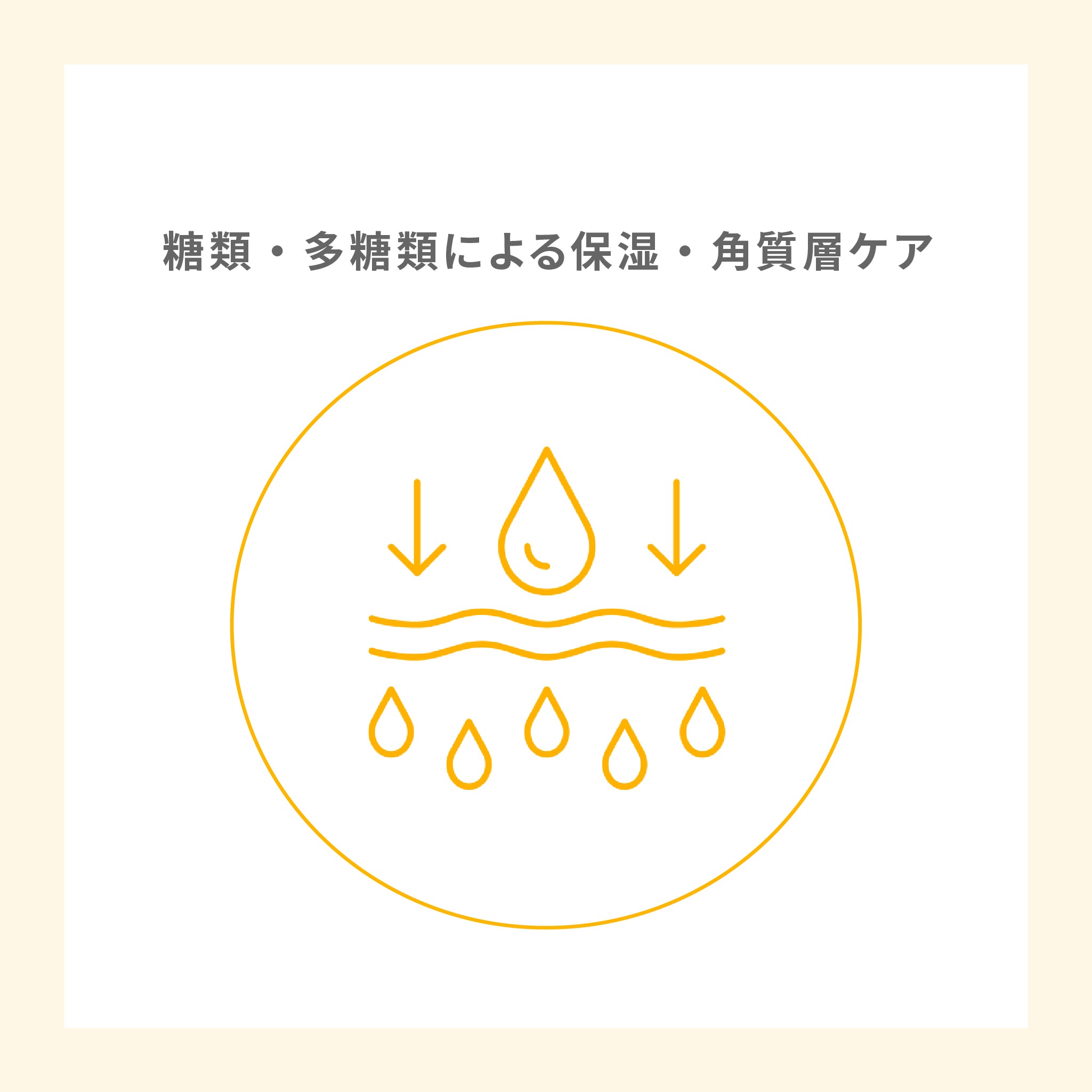Moist Hug ディスカバリーセット